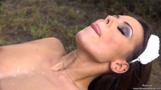 195278 - Black Cock Gallery