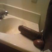 19536 - Black Cock Gallery