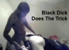 196514 - Black Cock Gallery