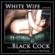19696 - Black Cock Gallery
