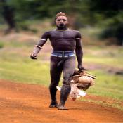 19894 - Black Cock Gallery