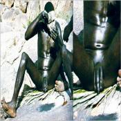 19898 - Black Cock Gallery