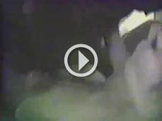 200549 - Black Cock Gallery