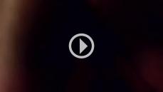 200611 - Black Cock Gallery