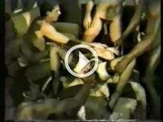 200889 - Black Cock Gallery