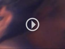 201039 - Black Cock Gallery