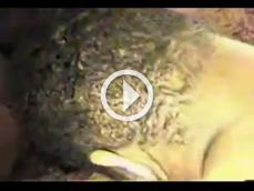 201081 - Black Cock Gallery