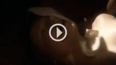 201997 - Black Cock Gallery