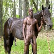 20287 - Black Cock Gallery