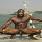 20288 - Black Cock Gallery