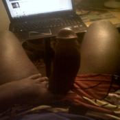 2030 - Black Cock Gallery