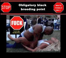 203203 - Black Cock Gallery