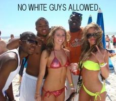 203297 - Black Cock Gallery