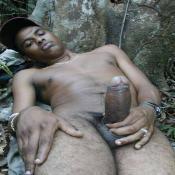 20333 - Black Cock Gallery