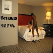 20452 - Black Cock Gallery