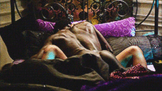 204808 - Black Cock Gallery