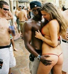 206278 - Black Cock Gallery