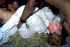 208523 - Black Cock Gallery