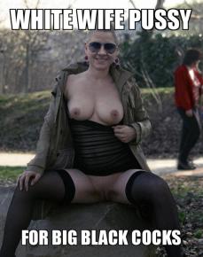 209285 - Black Cock Gallery