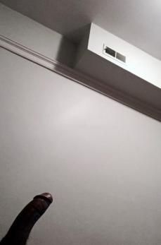 209579 - Black Cock Gallery