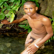 20964 - Black Cock Gallery