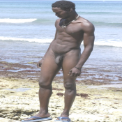 20990 - Black Cock Gallery