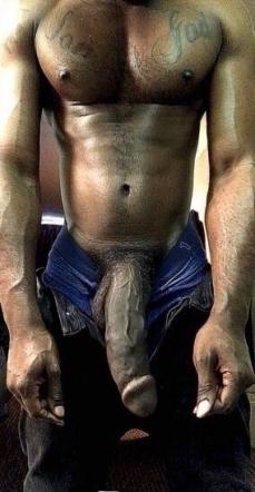 210083 - Black Cock Gallery