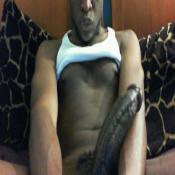 2108 - Black Cock Gallery