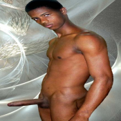 21338 - Black Cock Gallery