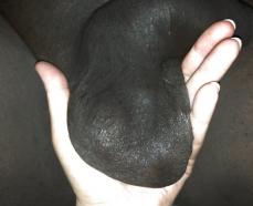 214964 - Black Cock Gallery