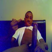 2187 - Black Cock Gallery