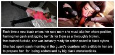 218908 - Black Cock Gallery
