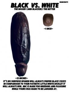 219378 - Black Cock Gallery