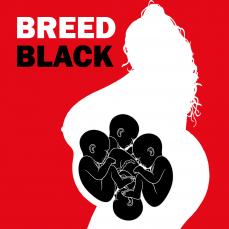 219633 - Black Cock Gallery