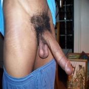 2340 - Black Cock Gallery