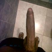 2351 - Black Cock Gallery