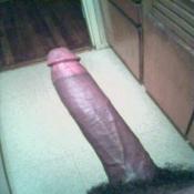 2374 - Black Cock Gallery