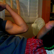 2389 - Black Cock Gallery