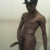 2415 - Black Cock Gallery