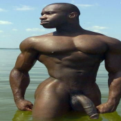25366 - Black Cock Gallery