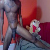 2703 - Black Cock Gallery