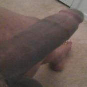 2728 - Black Cock Gallery