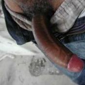 2740 - Black Cock Gallery