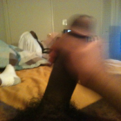 2952 - Black Cock Gallery