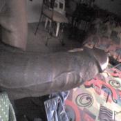 2961 - Black Cock Gallery