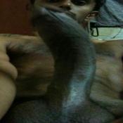 3159 - Black Cock Gallery