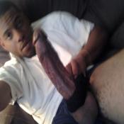 3347 - Black Cock Gallery