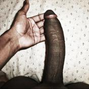 3353 - Black Cock Gallery