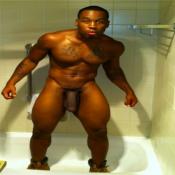 3379 - Black Cock Gallery