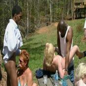 33828 - Black Cock Gallery